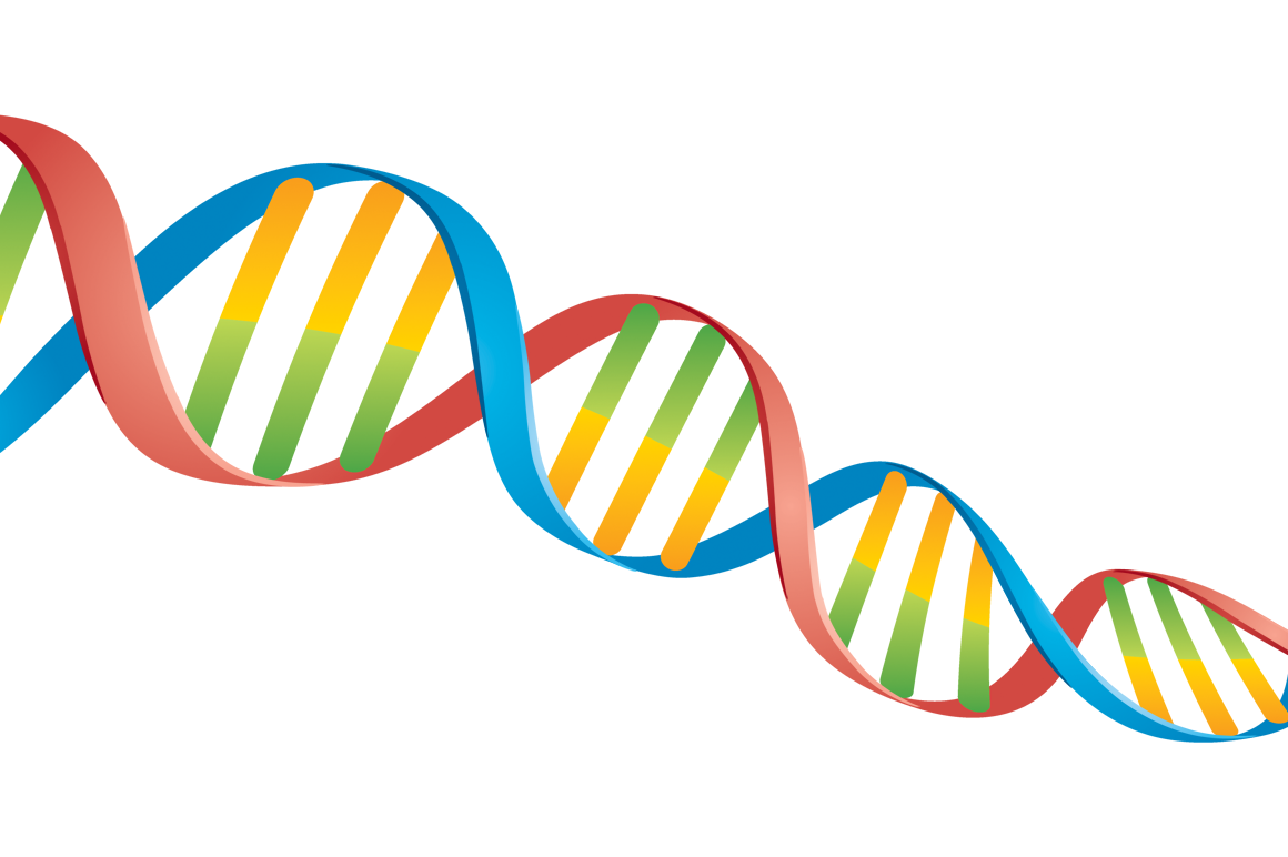 DNA Strand – John Schwegel